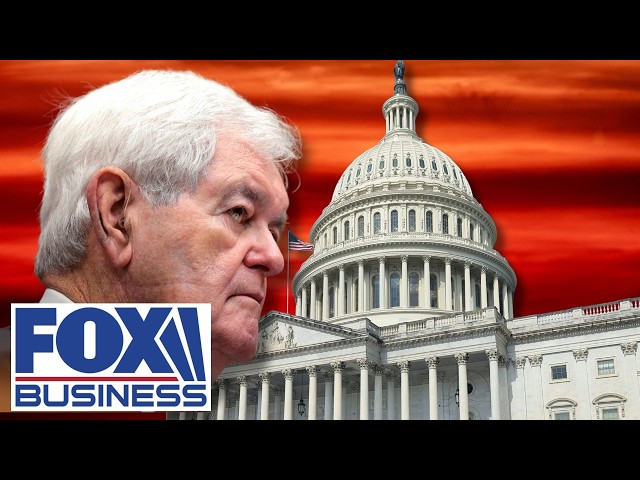 ‘MOST RADICAL IN AMERICA’: Gingrich WARNS Democratic Party could split