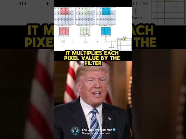 🤖Convolutional Neural Networks (CNNs) by #andrewtate and #donaldtrump