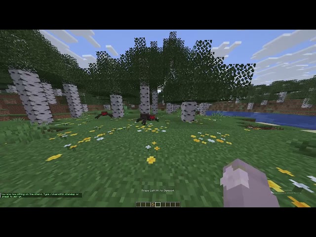 Minecraftplugins.org demo - ChairSittin