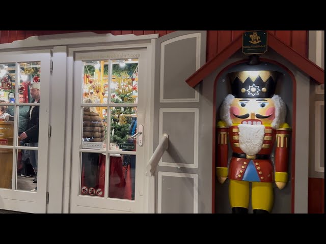 A Cozy Swiss Winter Day | Dyson V15 Unboxing, Aldi Switzerland & Zurich Christmas Lights 🇨🇭🌵