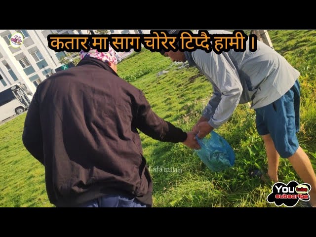 आज हामी साग चोरेर टिपियो ।