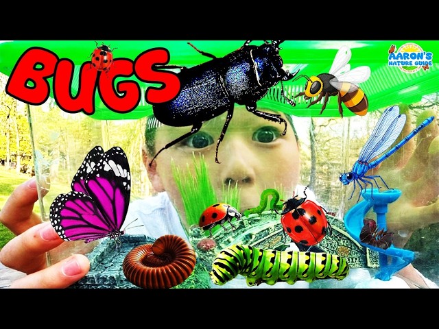 KIDS! 🐞Real BUG Safari! 🐛Watch Bugs Go Crazy! | EDUCATIONAL KIDS NATURE SHOW🌿