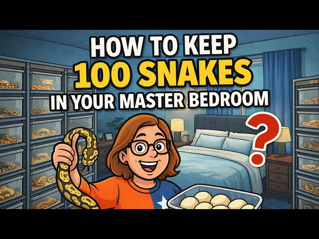 I Keep Over 100 Snakes in My Master Bedroom 😳🐍 | Full Room Tour