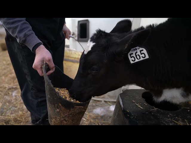 Introduction to RuFaS