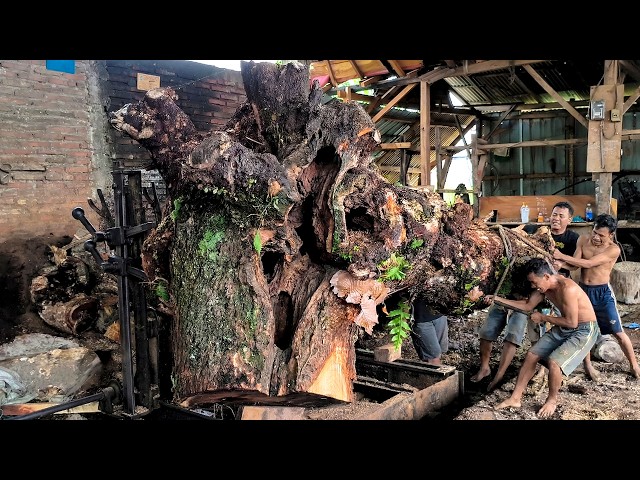 Monster Toyota Forklift And Heavy Equipment In Industrial Sawmill