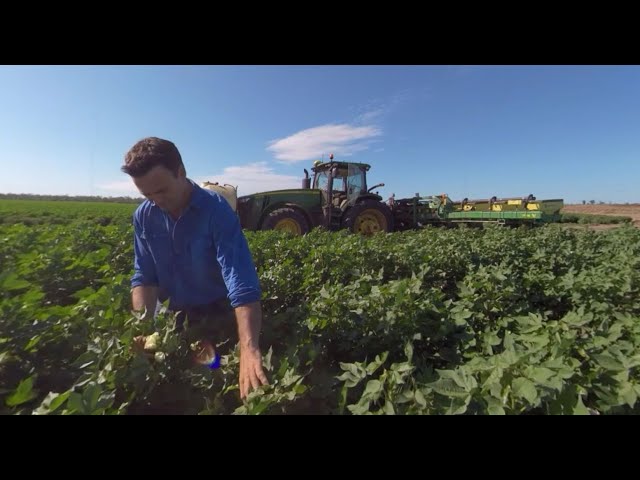 The Australian Cotton Industry: 360-degree video