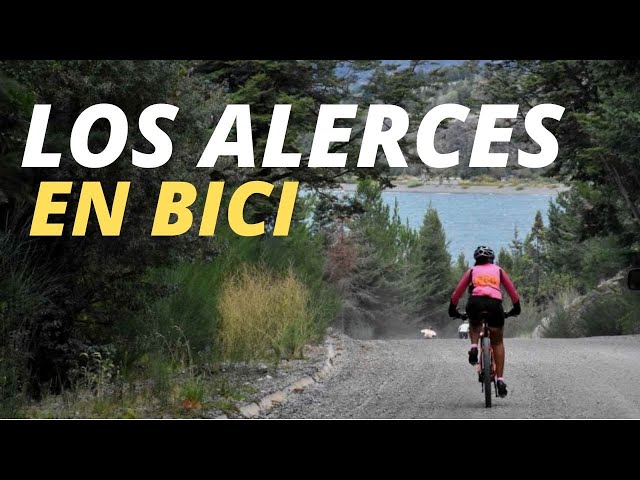 Going to CONQUER PATAGONIA | Los Alerces National Park