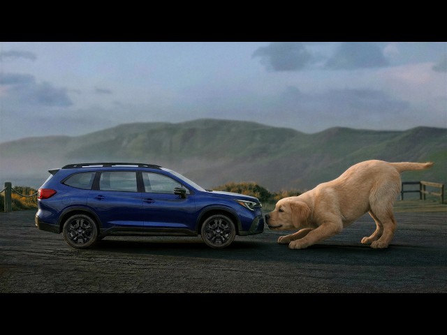 "BIG LOVE FOR THE SUBARU ASCENT” :15 SUBARU | CONSUMER REPORTS