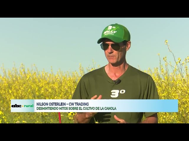 Rompiendo mitos sobre la canola o colza