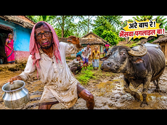 😂 Mad buffalo chases Chirkut Baba, then chaos ensues! 🐃 Chirkut Baba
