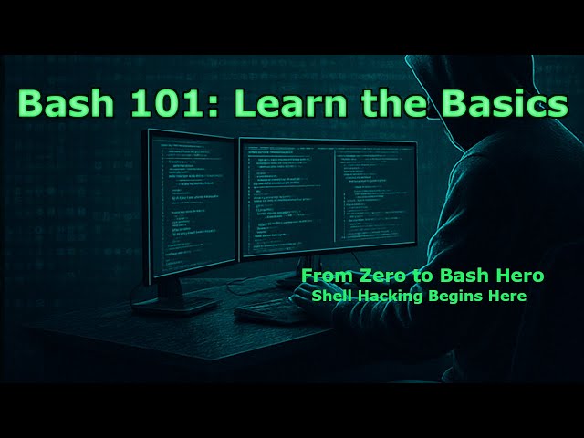 Bash 101 for Beginners – Learn the Basics