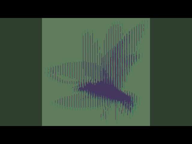 illusions