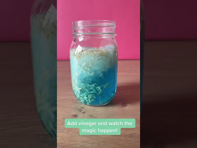 Dancing Rice | Science Activity for Kids | #shorts