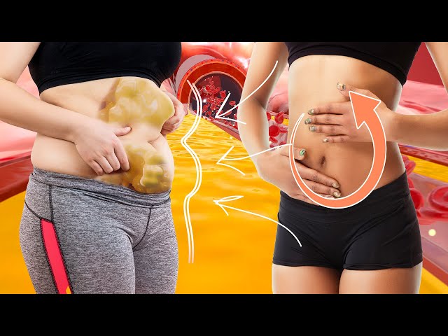 2.2Hz ❯ DETOX & LOSE ABDOMINAL FAT ❯ Remove Toxins & Negative Blocks ❯ 98% Effective In 5 Minutes