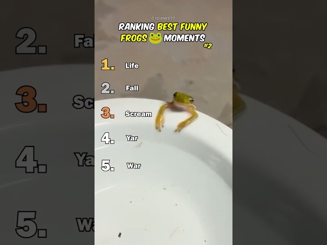 Ranking Best Frog Moments #2