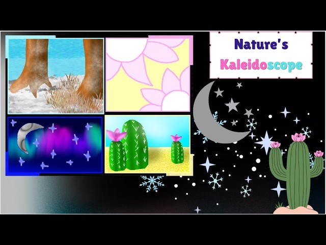 Nature's kaleidoscope