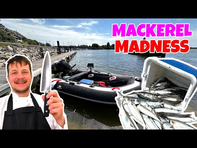 MACKEREL CATCH AND COOK! | Small Boat Fishing UK | Inflatable Boat Fishing