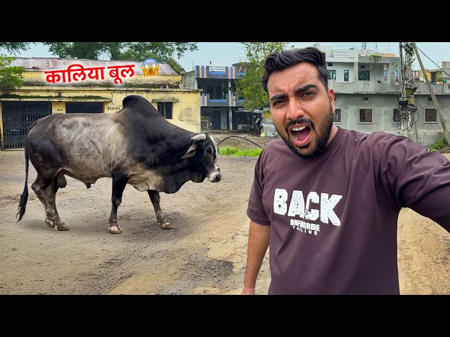 Kaaliya Bull Ki Entry🤯Ab To Arjun-Anand Ko Lana Padega👏🏽😰