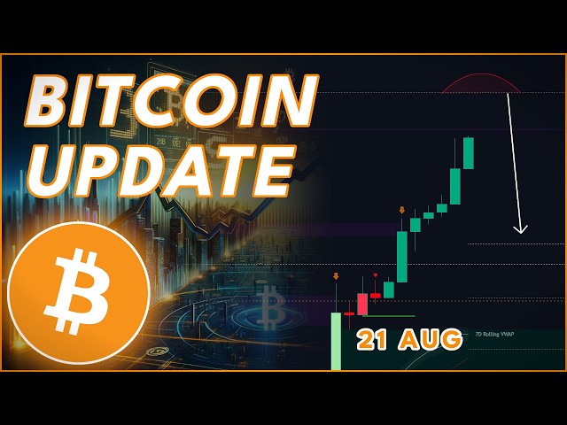 WHEN WILL BITCOIN STOP RALLYING?🚨 (Bitcoin Bullrun Update)