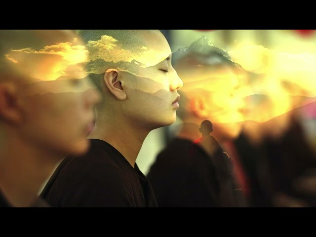 Metta: Seven-day Silent Symphony