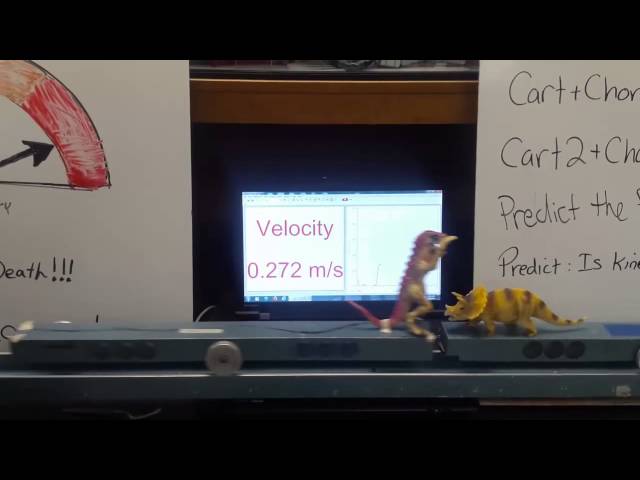 Epic Dinosaur Collision Battle Observe and Explain