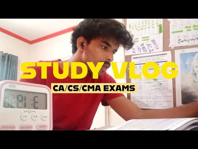 8 Hours Realistic Study Vlog For CA Exams M26 | Study Tips & Strategy | ICAI |