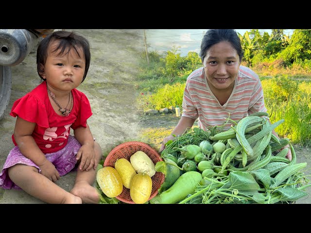 Collecting Fresh Vegetables from farm | Fresh vegetables