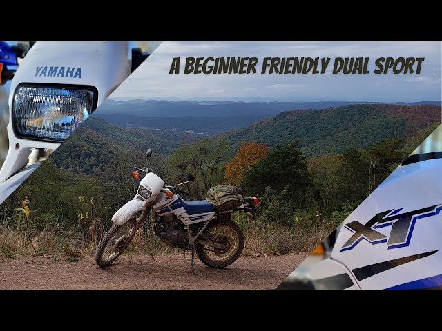 No Frills and Cheap Thrills: Yamaha XT225
