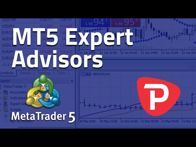 How to use Expert Advisor MetaTrader 5