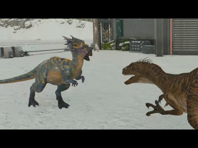 Jurassic World Evolution 3: (Modified) Dracorex pair vs Velociraptor pair