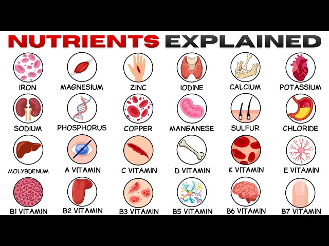 Every Nutrient & It's Effects Explained