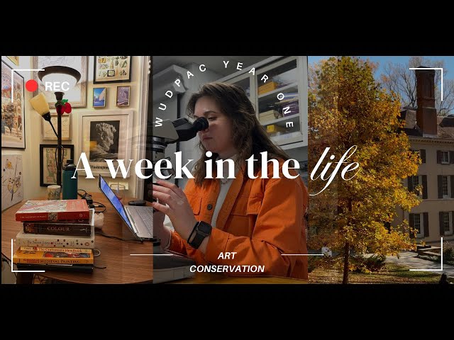 Week In The Life Vlog || Art Conservation Grad Student
