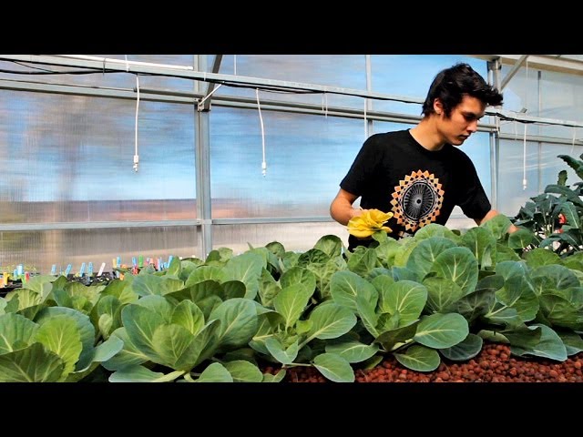 How Gardening Enables Interdisciplinary Learning