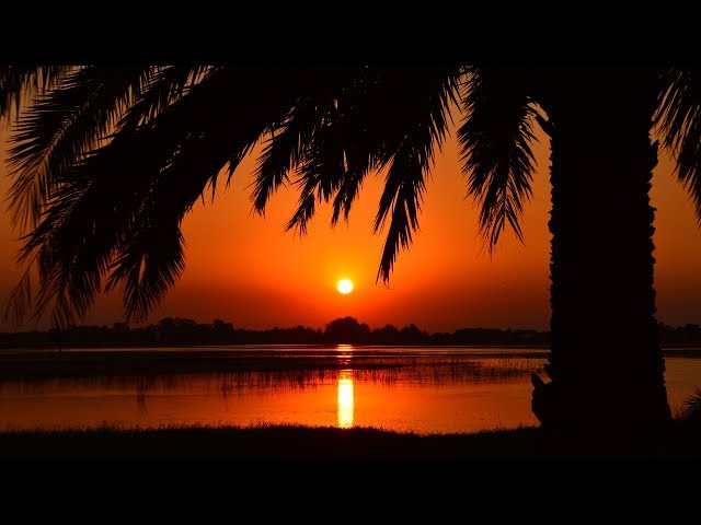 Calming Mindfulness Meditation before Sleeping (Spoken Guided Sleep Hypnosis) Let go and sleep well