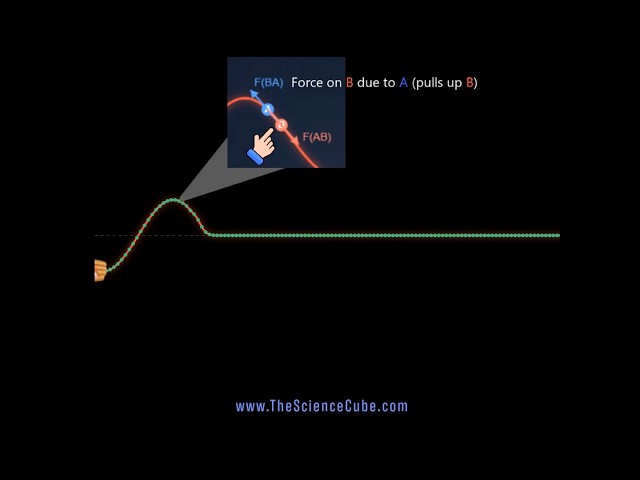 Why Do Waves Move? | Tension, Newton’s 3rd Law & Wave Speed