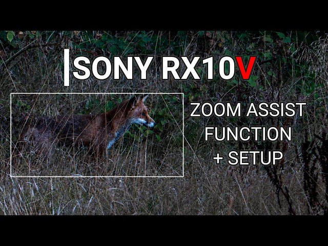 SONY RX10V   ZOOM ASSIST FUNCTION + SETUP