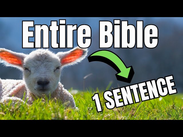 Every Book of the Bible Explained in One Sentence (You’ll Never Forget This)