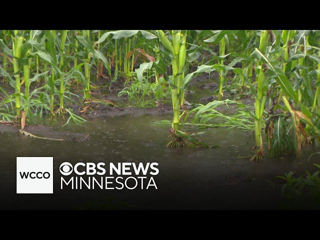 What Friday’s rain means for drought conditions across Minnesota
