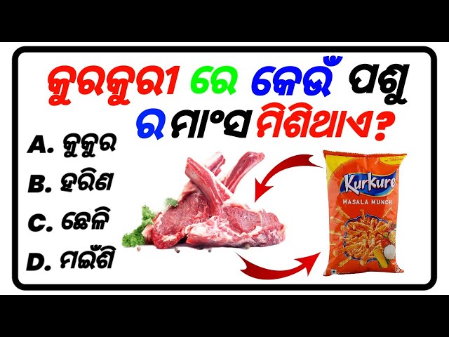 Top 20 General knowledge | kurkur | GK Question | GK In Odia | GK Question and Answer |