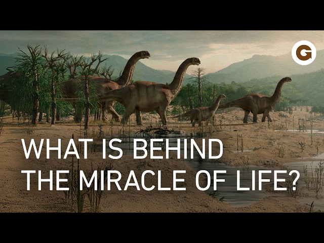 Great Moments in Evolution: From Single Cells to Complex Life | Full Documentary
