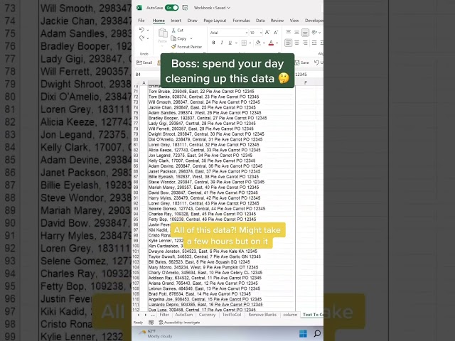 How to clean data in seconds using text to columns. 🤤 #excel #sheets