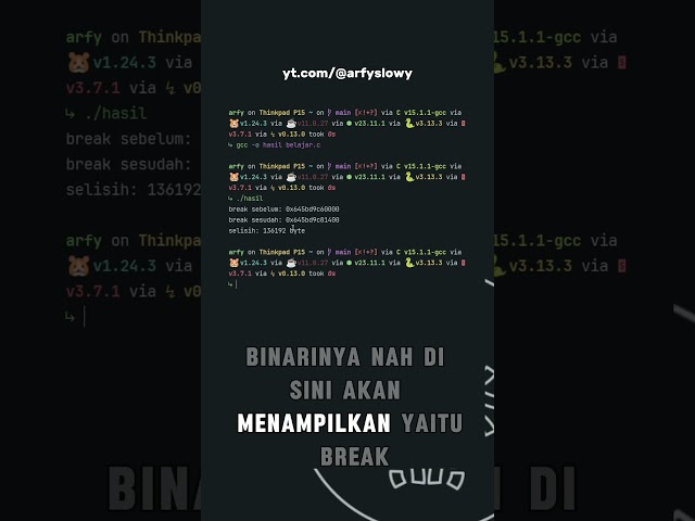 expanding heap 🔥 #coding #lowlevel #programming