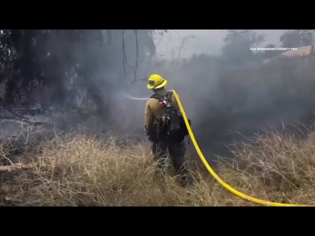 INCENDIO DE VEGETACIÓN