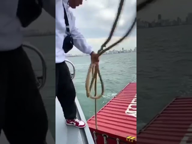 ⚓ Indian Navy status video 🌹#trending #shortsviral #army #navyeod