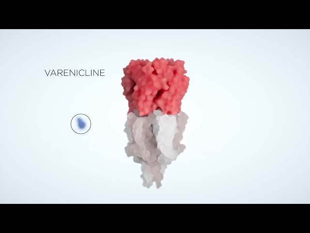 MoA animation for Redpin Therapeutics' IR and corporate communication.