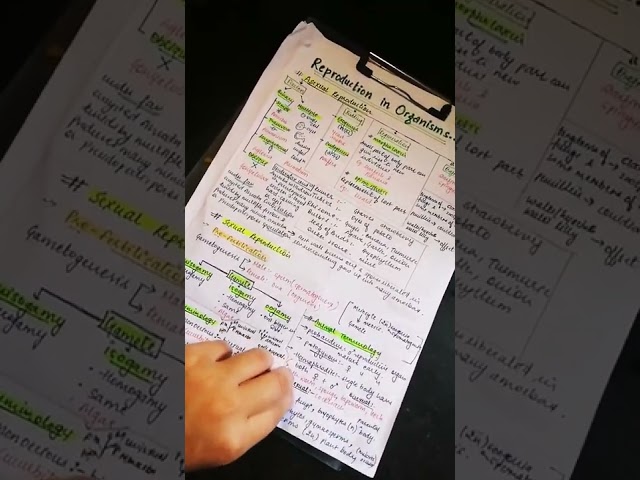 always make your own notes 😍|Neet Aspirant |