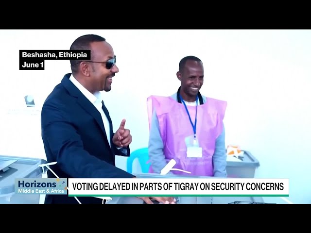 Ethiopia's Incumbent Leader Expected to Win Elections