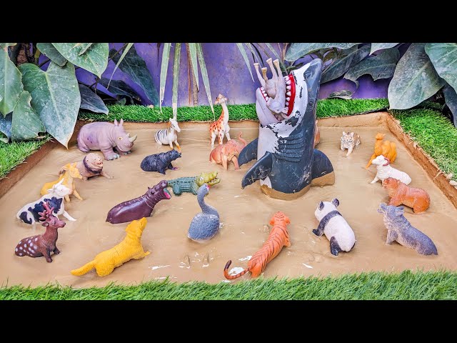 Muddy Animal Extravaganza: Rescuing Domestic & Zoo Animals in the Mud Ground 🦈🌍