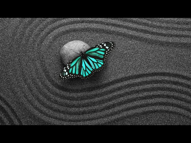 Understanding The Exquisite Balance Of Life