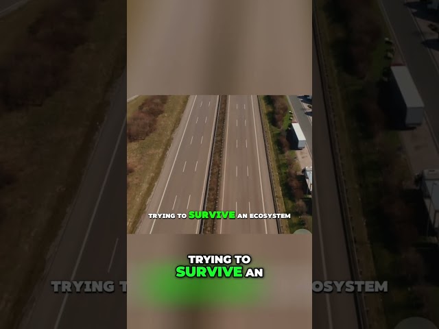 Truckers Aren’t Just Drivers — They Run Mobile Command Centers #shorts